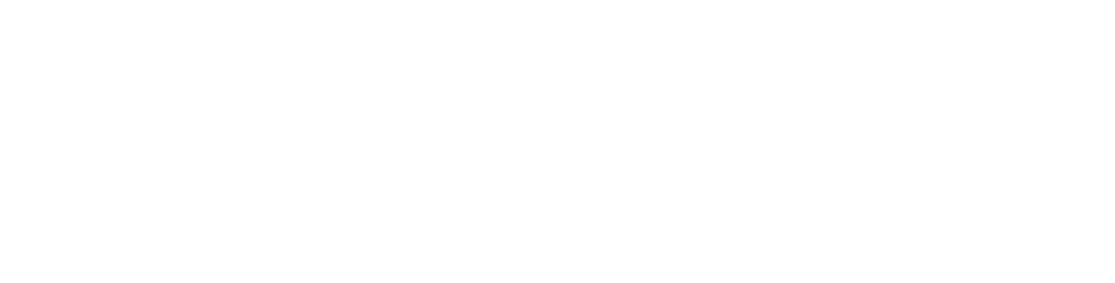 Belflow — logotipo branco